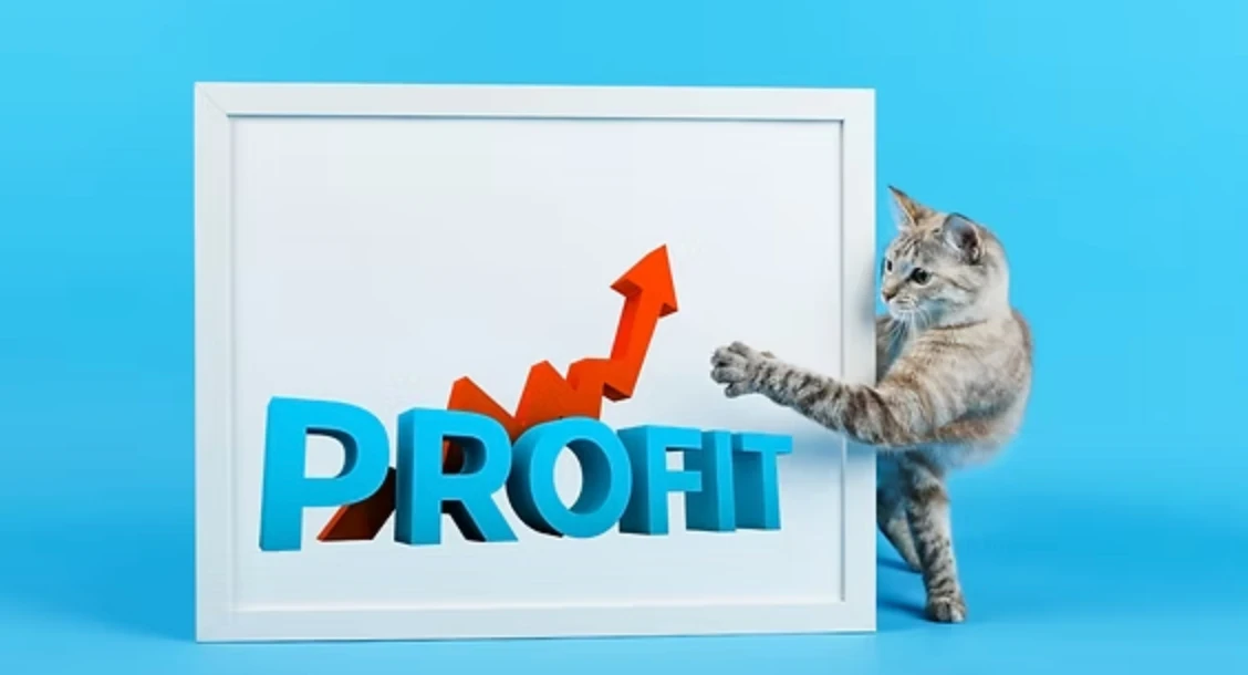 переваги впровадження CRM для ветклініки
